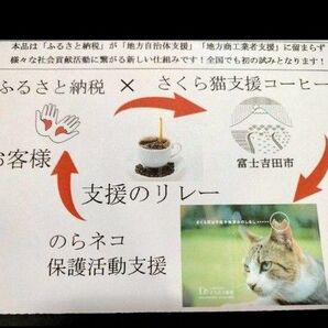 全額寄付　保護猫支援　ふるさと納税　里親募集