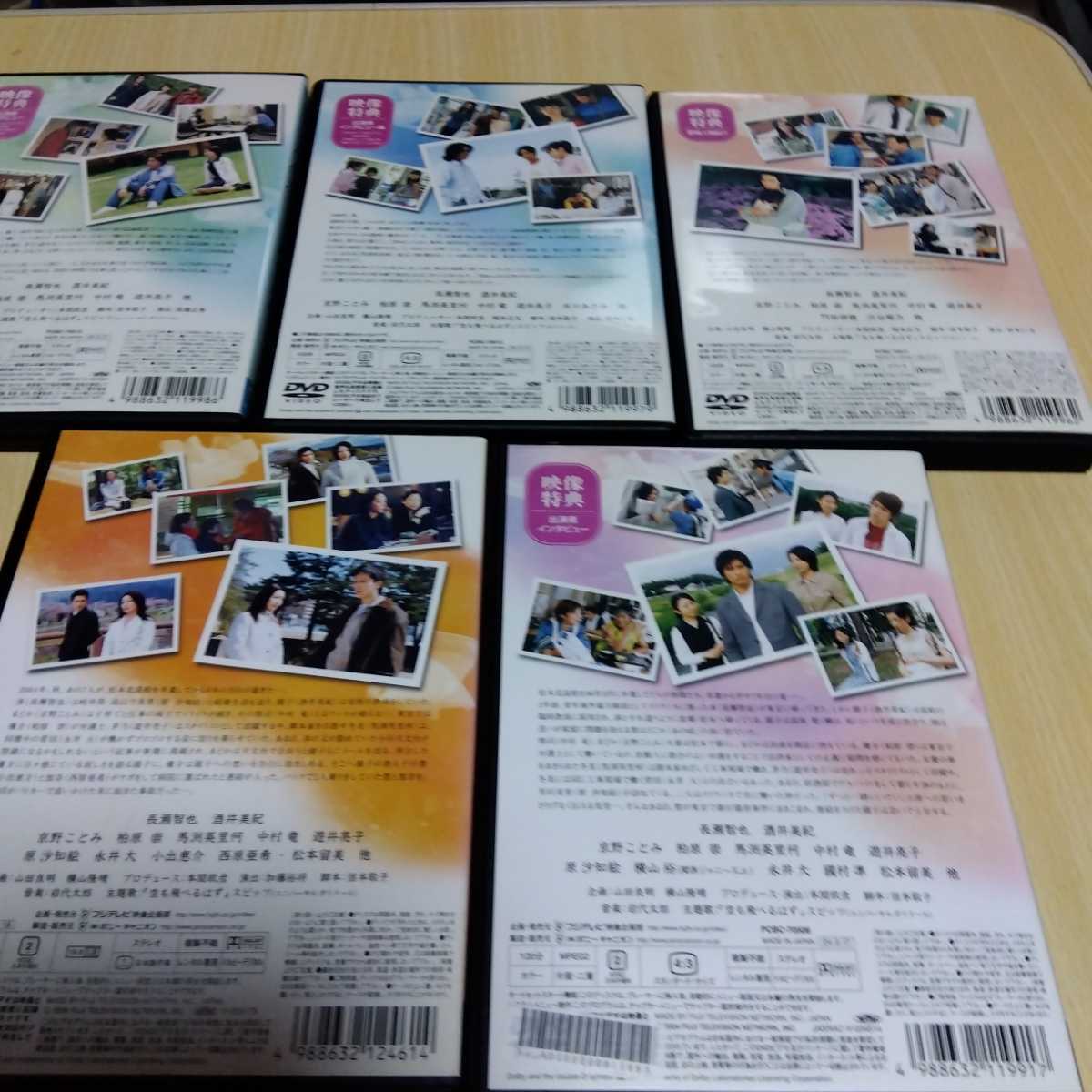 白線流しスペシャルDVD 全5巻セットレンタル版◎長瀬智也 ・酒井美紀