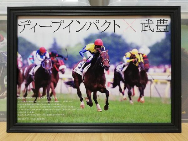 競馬.ディープインパクト.パネル.心に刻まれた名コンビ