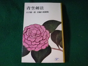 ■青空剣法　山手樹一郎 長編小説選集　桃源社■FASD2022122612■