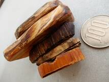 ＜銀の斧＞送料無料・天然木のボタン・いろいろな樹・5個・オリジナル手作りぼたん・天然木釦_画像10