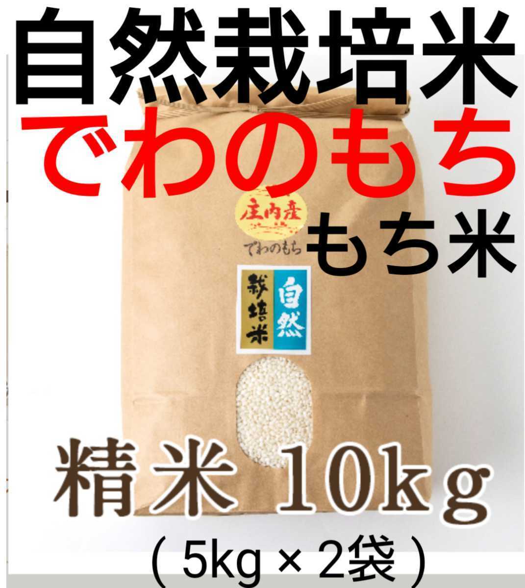自然栽培 朝日米 20kg玄米 小袋×8 R4年 在来種 農薬不使用 肥料不使用