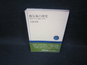 微気象の探求　大後美保　NHKブックス　折れ目有/GBP