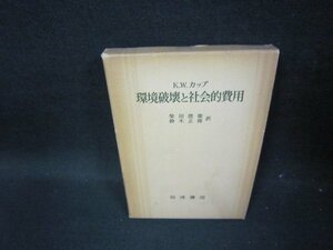 カップ　環境破壊と社会的費用　箱焼け強/GDC