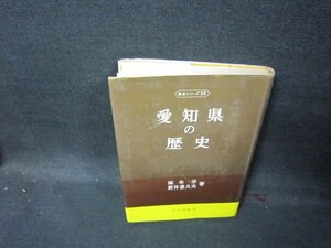 愛知県の歴史　歴史シリーズ23　シミ有/GFA