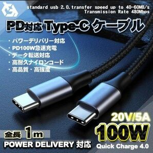 【PD対応】Type-C to Type-C 充電ケーブル 高速 100W 1m