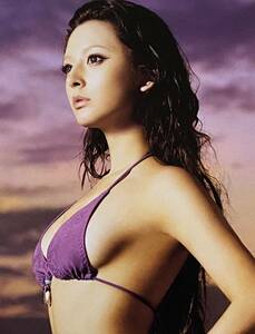 ●貴重●DVD付●リア・ディゾン,LEAH DIZON●写真集『HEAVEN 』●2007年10月●