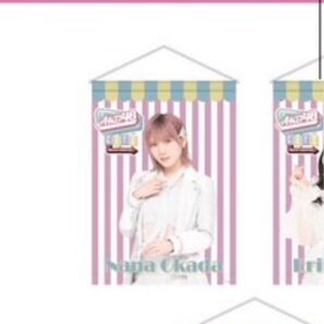 AKB48カフェ 岡田奈々 タペストリー