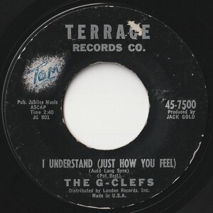 G-Clefs I Understand (Just How You Feel) / Little Girl I Love You Terrace US 45-7500 201181 R&B R&R レコード 7インチ 45