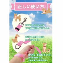 【安心の匿名配送】ロングリード 20M 定価2,000円 小型犬　中型犬　トレーニング　ブラック 送料無料！_画像3