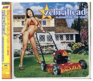 即決・送料無料(2点で)◆ゼブラヘッド Zebrahead◆プレイメイト・オブ・ザ・イヤー Playmate Of The Year【m6357】