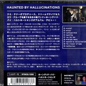 Haunted By Hallucinations /傑作/サイケ、ギターポップの画像2