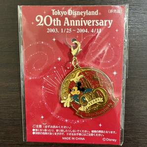 ディズニーランド Anniversary 20th チャーム TDL 20周年 非売品