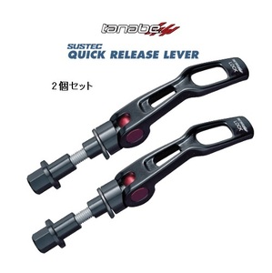 Tanabe Strut Tower Bar Lever 2 (Front) Move Canvas LA850S QRL1