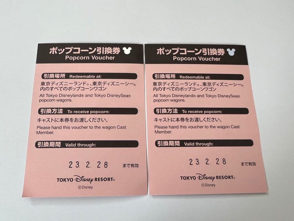 売れ筋介護用品も！ 東京ディズニーランド or シー ペアチケット 引換