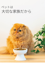 【ピンク】陶器製フードボウル 猫犬 ペット用食器 おやつ 餌入れ 水 餌皿　_画像10