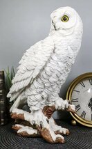 白い雪フクロウの彫像 高さ 約31ｃｍ 夜行性の鳥フクロウ彫刻置物/ プレゼント贈り物(輸入品_画像8