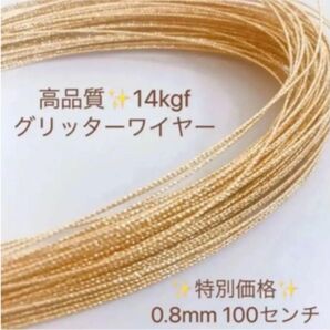 再入荷　特別価格　14kgf グリッターワイヤー　0.8mm 100センチ