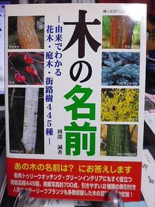 木の名前　由来でわかる花木・庭木・街路樹445種　街角トゥリーウオッチング・グリーンインテリアにもすぐ役立つ掲載品種445種、写真700点