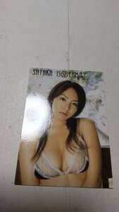 磯山さやか BOM CARD HYPER Sayaka Isoyama 013 セイザーヴィジュエル/早乙女蘭役 ビキニ 巨乳