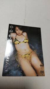 磯山さやか BOM CARD HYPER Sayaka Isoyama 103 セイザーヴィジュエル/早乙女蘭役 ビキニ 巨乳