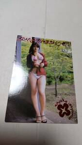 磯山さやか BOM CARD HYPER Sayaka Isoyama 115 セイザーヴィジュエル/早乙女蘭役 ビキニ 巨乳
