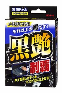 RINREI(リンレイ) コーティング剤 黒艶制覇 実感パック 80ml W-32