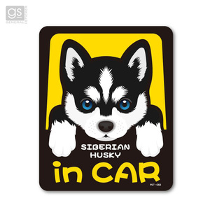  pet sticker S HUSKY in CARsibe Lien * husky dog .... - car dog do Guin car seal decal zenelaruPET-083 ht