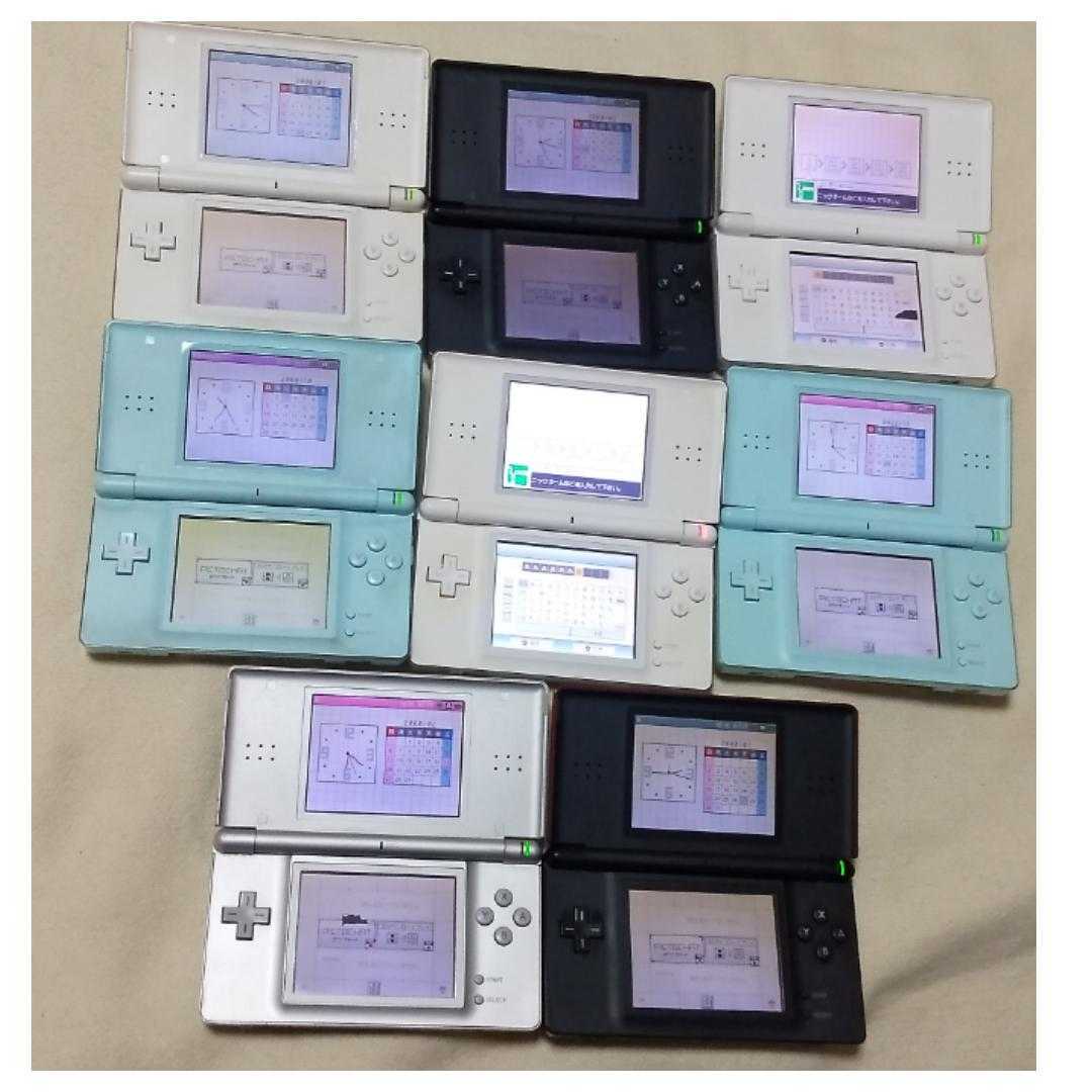 贅沢 DSi.DSlite.DS 9台セット www.windsurfingrenesse.nl