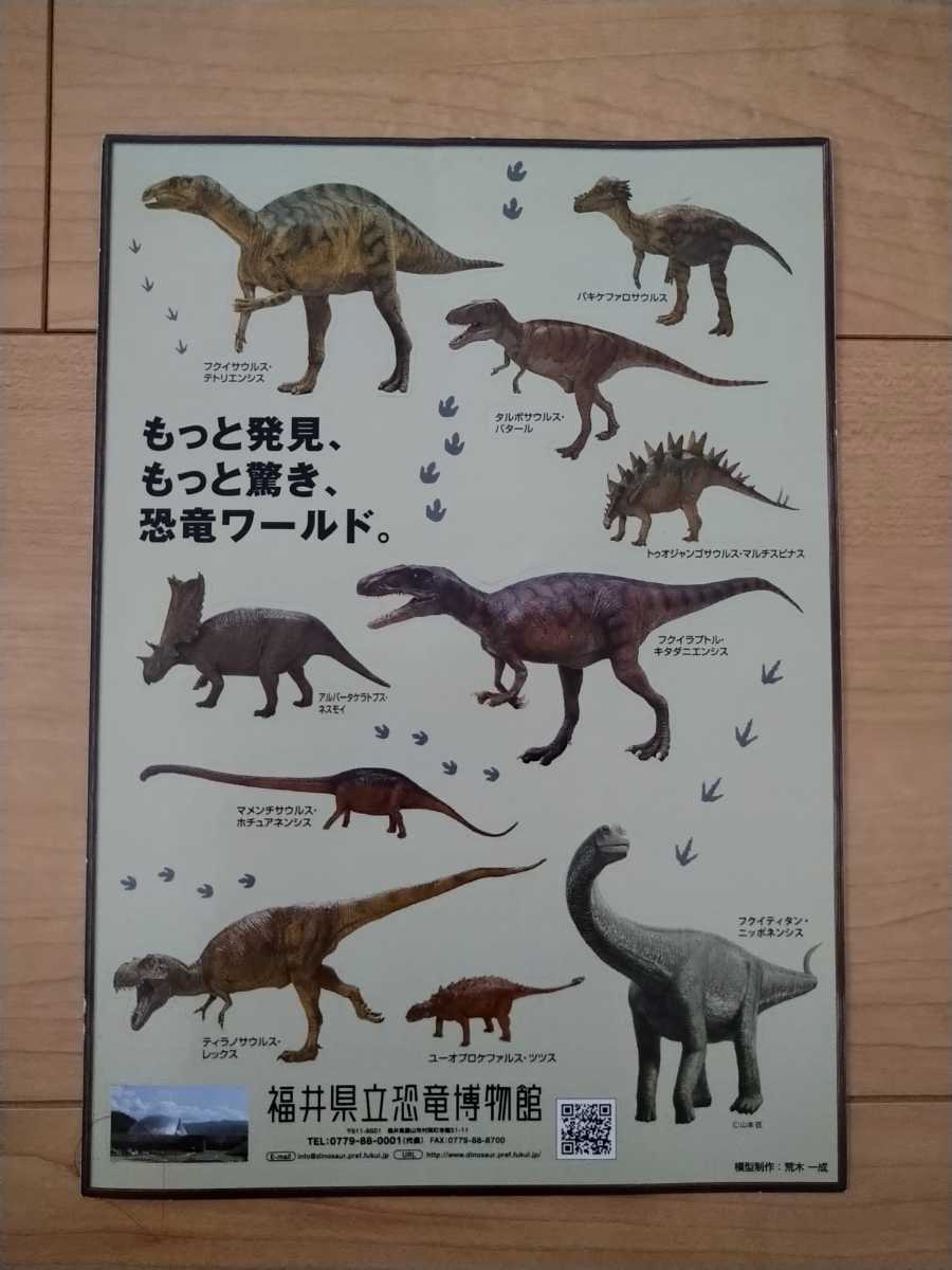 大きい割引 ケムケム産 超希少 スピノサウルス 化石 thecarestaff.com