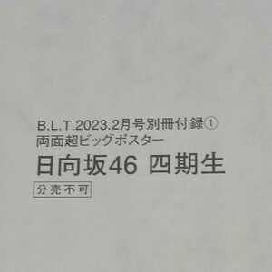 58 日向坂46 四期生 両面ビッグポスター　B.L.T.