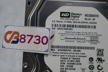 CB8730 & Western Digital WD3200AVVS-63L2B0 320GB　3.5インチHDD_画像5