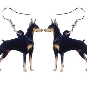 犬 ドーベルマンピアス