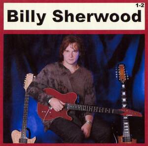 【MP3-CD】 Billy Sherwood ビリー・シャーウッド Part-1-2 2CD 11アルバム収録