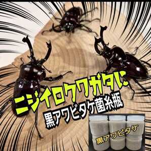 極上!黒アワビタケ菌糸瓶【9本】特殊アミノ酸強化配合!ニジイロクワガタに抜群 オオクワ、ヒラタ、ノコギリ系の初令、2令幼虫にもお薦め