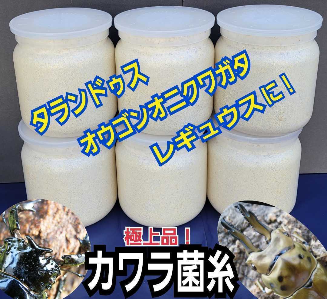 極上!カワラ菌糸瓶 特大1500ml【3本】特殊アミノ酸強化!タランドゥス・オウゴンオニクワガタ・レギュウスが巨大化!トレハロース増量 極上!カワラ菌糸瓶 特大1500ml【3本】特殊アミノ酸強化!タランドゥス・オウゴンオニクワガタ・レギュウスが巨大化!トレハロース増量