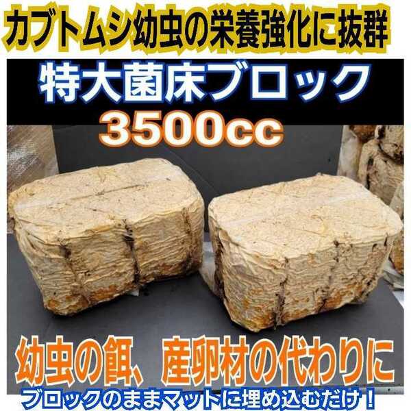 クワガタの産卵床に! カブトムシ幼虫の栄養強化にも抜群!キクラゲ菌床【2ブロック】マットに埋めるだけで幼虫がモリモリ食べます!