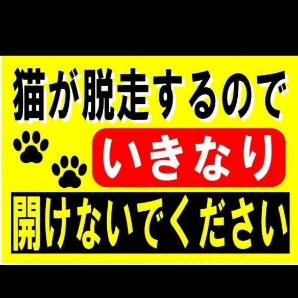 カラーコーンプラカードA4サイズ139『猫が脱走するのでいきなり開けないでください』