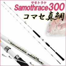 サモトラケコマセ真鯛300(40-100号)+SeaMastug Digital 300P_画像2