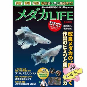 メダカLIFE 創刊号 / 特典:桜めだかロゴ Newステッカー