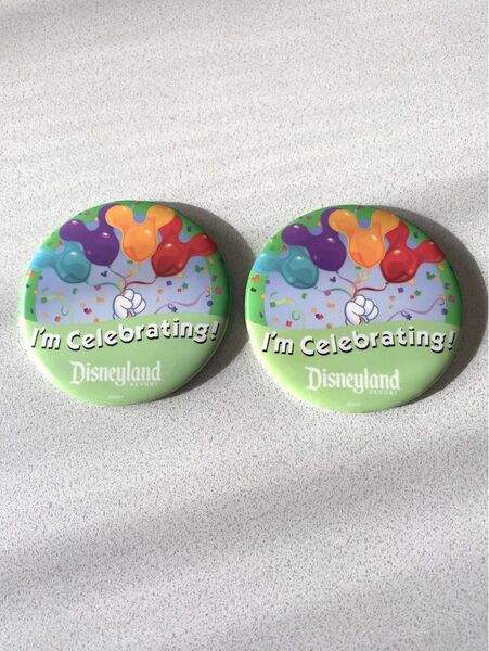 ディズニーランド缶バッジ