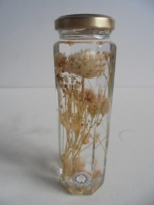  herbarium white flower B beautiful goods 