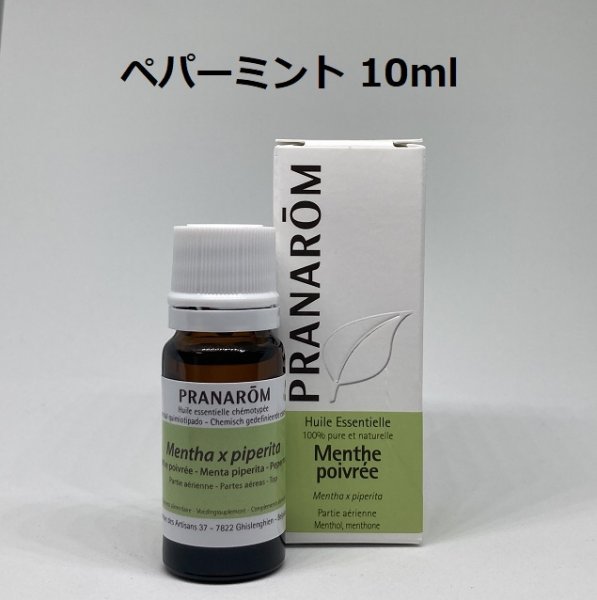 プラナロム ローズオットー(ダマスクローズ) BIO 5ml <主要成分表記>-