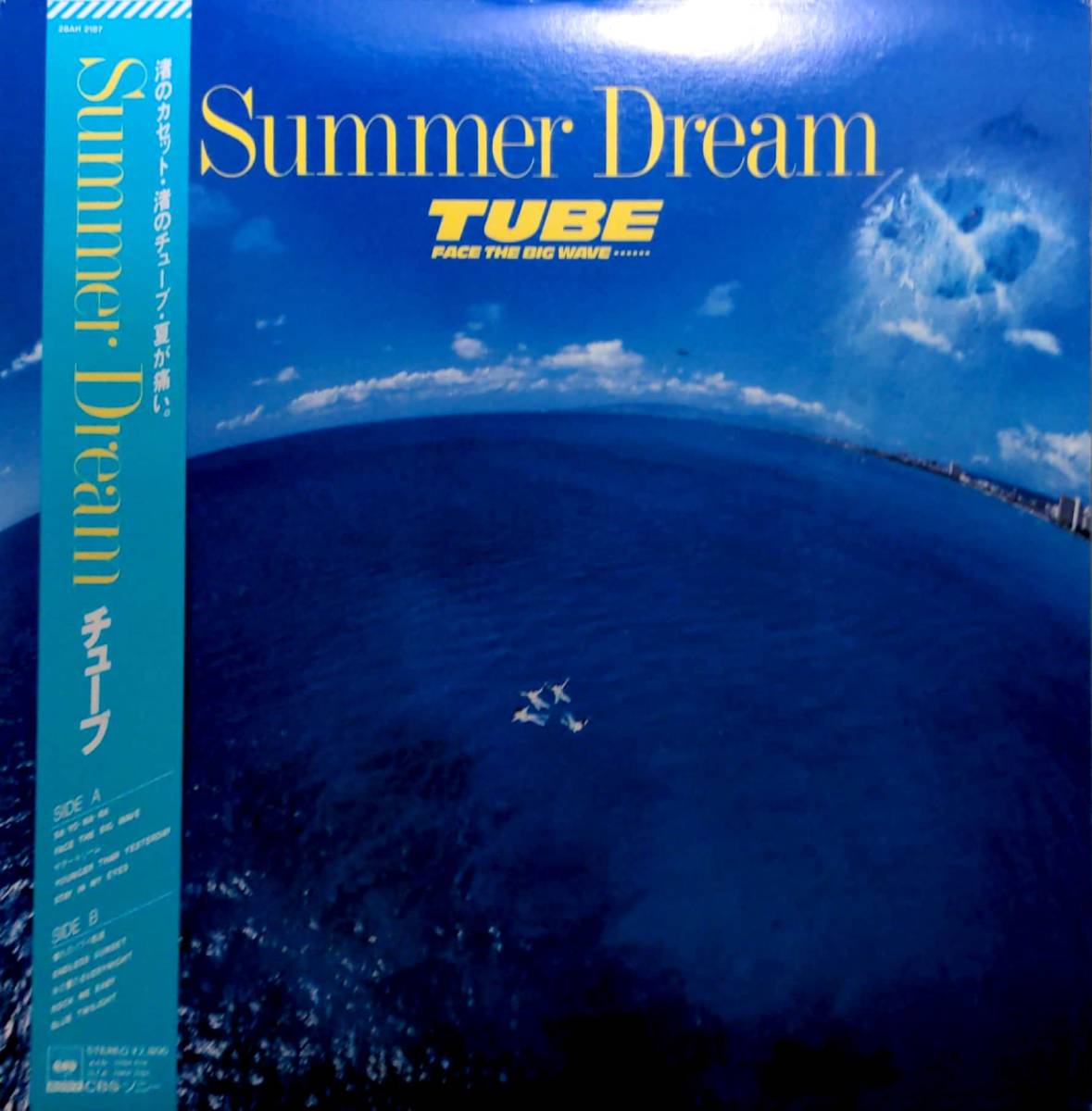 最大80%OFFクーポン LP レコード チューブ TUBE - summer city fawe.org