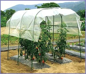 [ new goods free shipping ] kitchen garden canopy set mine timbering wide height 175cm× shoulder width 160cm× interval .190cm× depth 180cm tomato roof tomato cultivation 