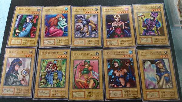 遊戯王② 初期 レディースセット10枚 (サキュバス・ナイト キャッツ・フェアリー 恍惚の人魚 ウォーター・ガール他6枚)