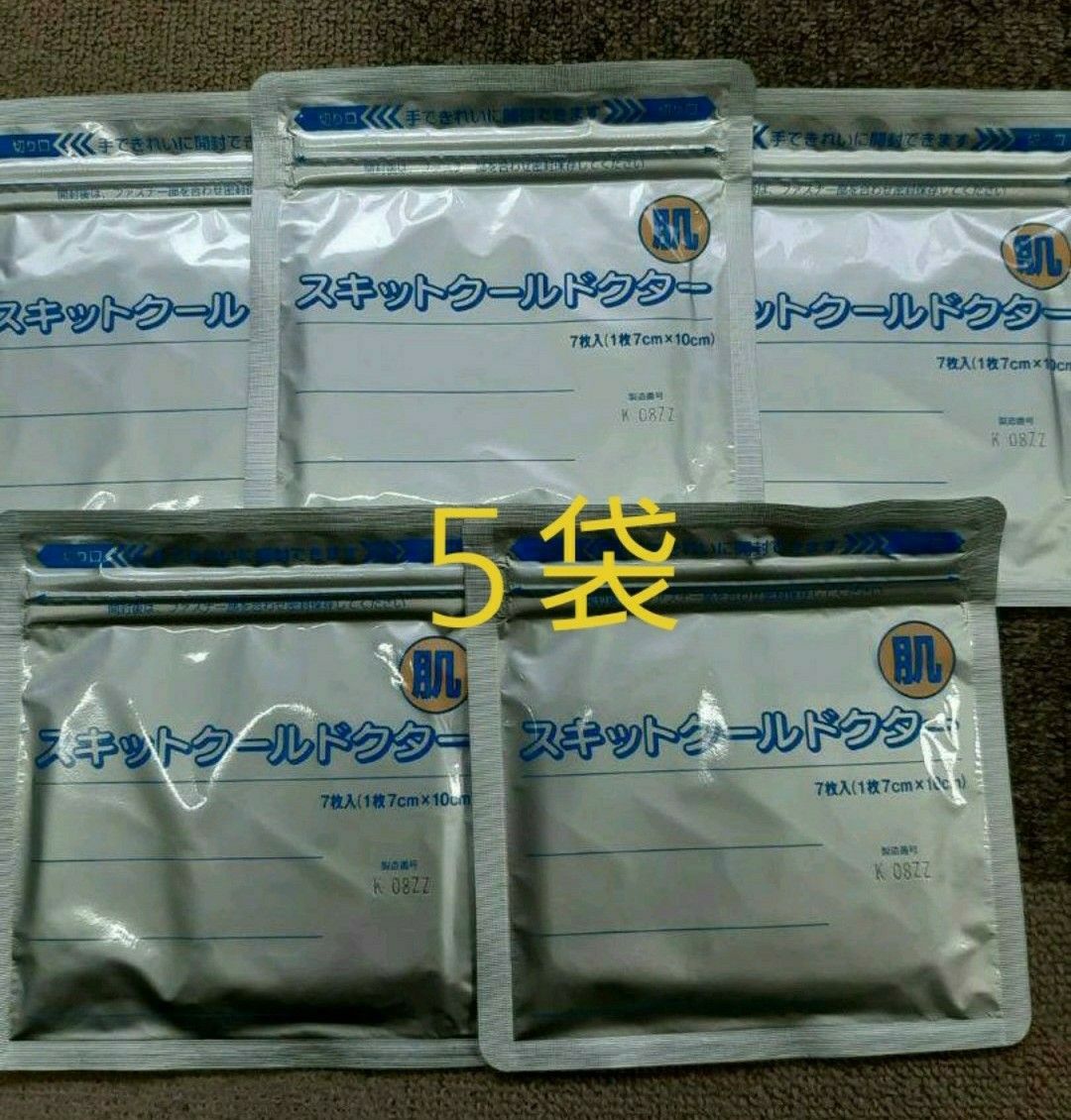 温かい湿布 ド・ホット 10袋 医薬部外品 通販