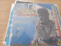 King Sunny Ade (キング・サニー・アデ)　　　ナイジェリア盤CD 同封可能_画像1