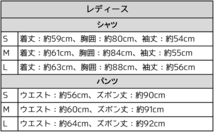 電磁波 シールド 上下セット 女性用 Lサイズ AJ510 レディース 磁場 電磁波対策 ウェア 防止 100％銀繊維 静電気防止 殺菌 消臭 グレー_画像3