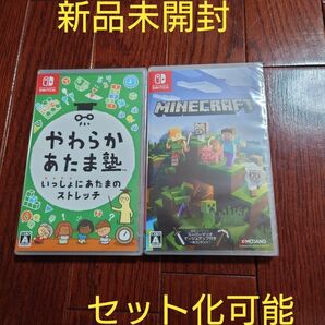 【新品未開封】やわらかあたま塾 & マインクラフト